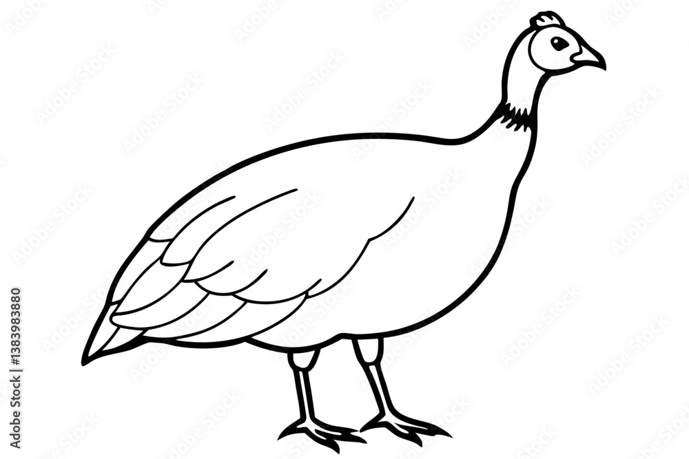 Fototapeta premium guineafowl silhouette line art vector illustration with a white background