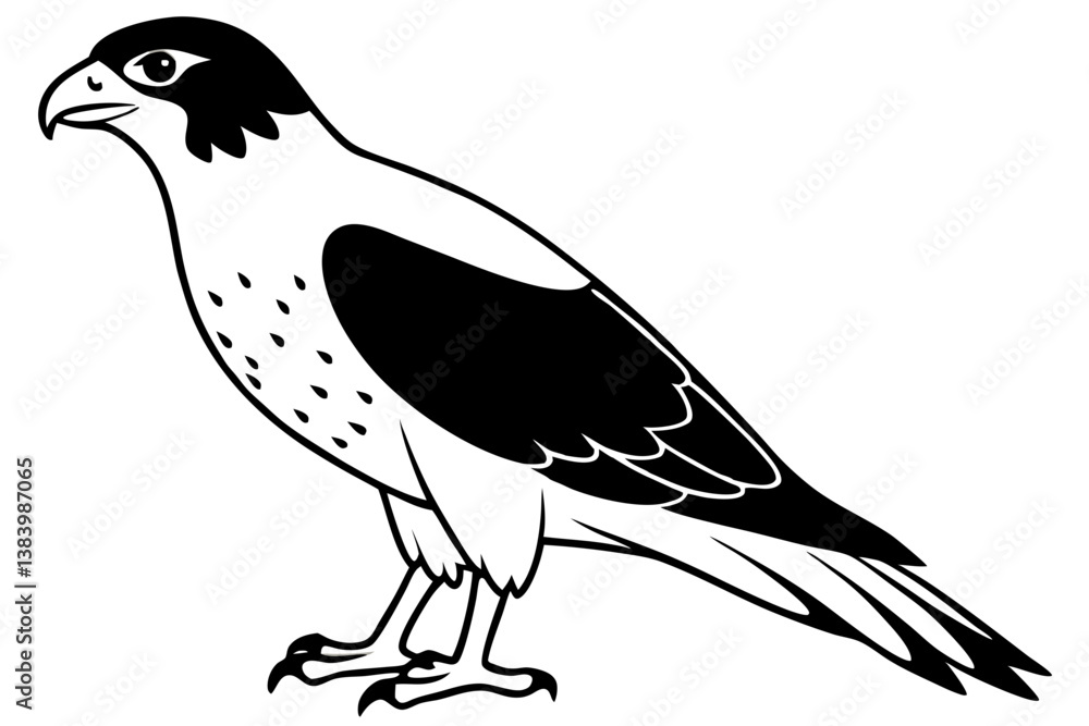 Fototapeta premium hawk silhouette line art vector illustration with a white background