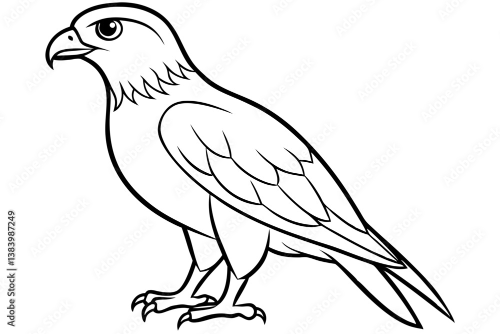 hawk silhouette line art vector illustration with a white background
