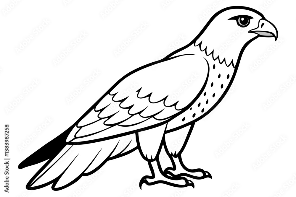 Fototapeta premium hawk silhouette line art vector illustration with a white background
