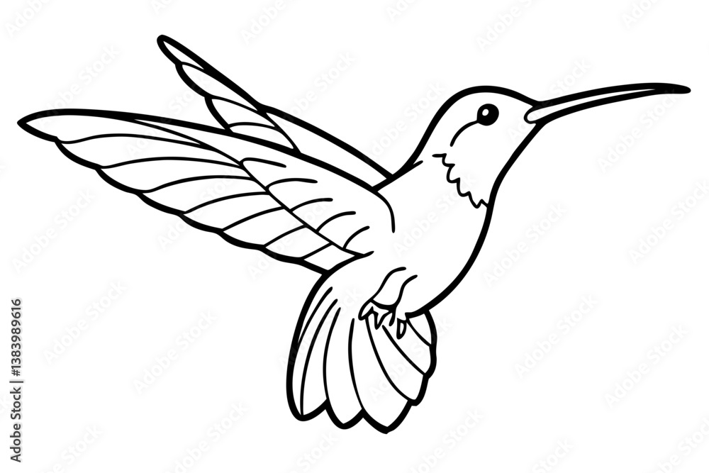 Obraz premium hummingbird silhouette line art vector illustration with a white background