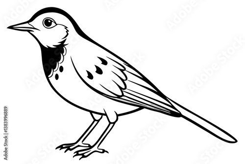 lark silhouette line art vector illustration with a white background