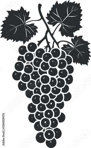 Black and white illustration of a grapevine with leaves and a bunch of grapes.