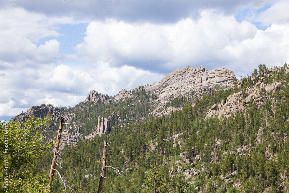 Fototapeta premium Custer State Park, South Dakota