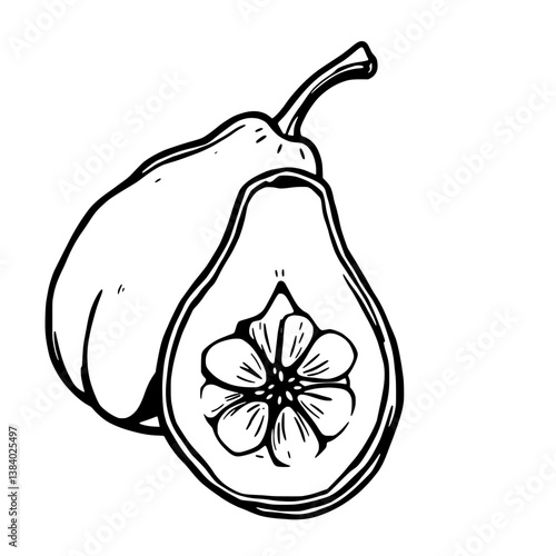 A Line Drawing Of A Pear Halved Revealing A Flower Inside