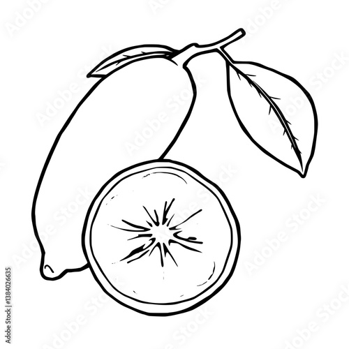 Fresh Finger Lime Whole Fruit And Cross Section Illustration