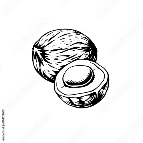 Hand-Drawn Illustration Of A Whole And Halved Coconut