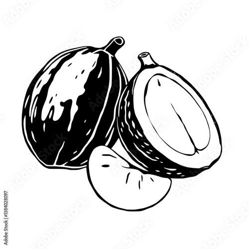 Black And White Illustration Of Whole And Halved Hazelnuts