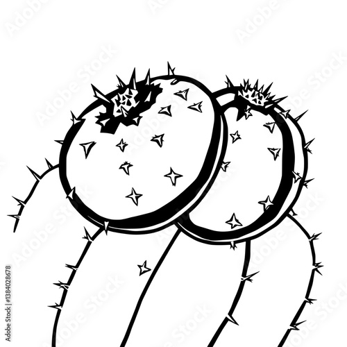 Prickly Pear Cactus Pads A Detailed Line Art Illustration