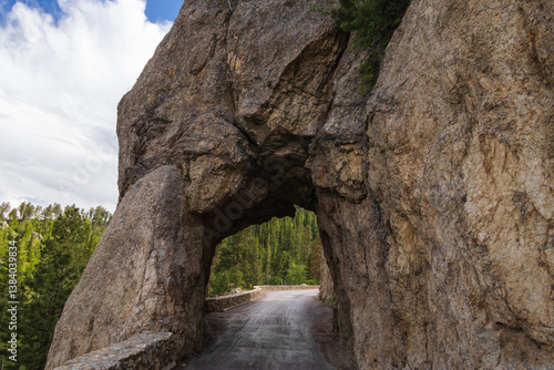 Custer State Park, South Dakota