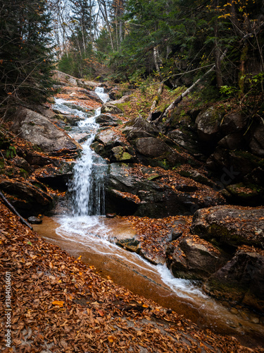 Obraz na płótnie Swiftwater Falls in Franconia Notch State Park, NH, This 60-ft. waterfall is a combination of cascades and small plunges. w salonie