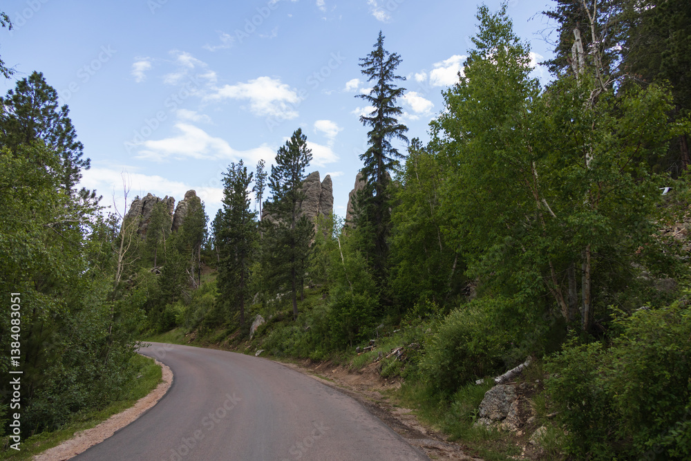 Road through Custer State Park, South Dakota Road through Custer State Park, South Dakota