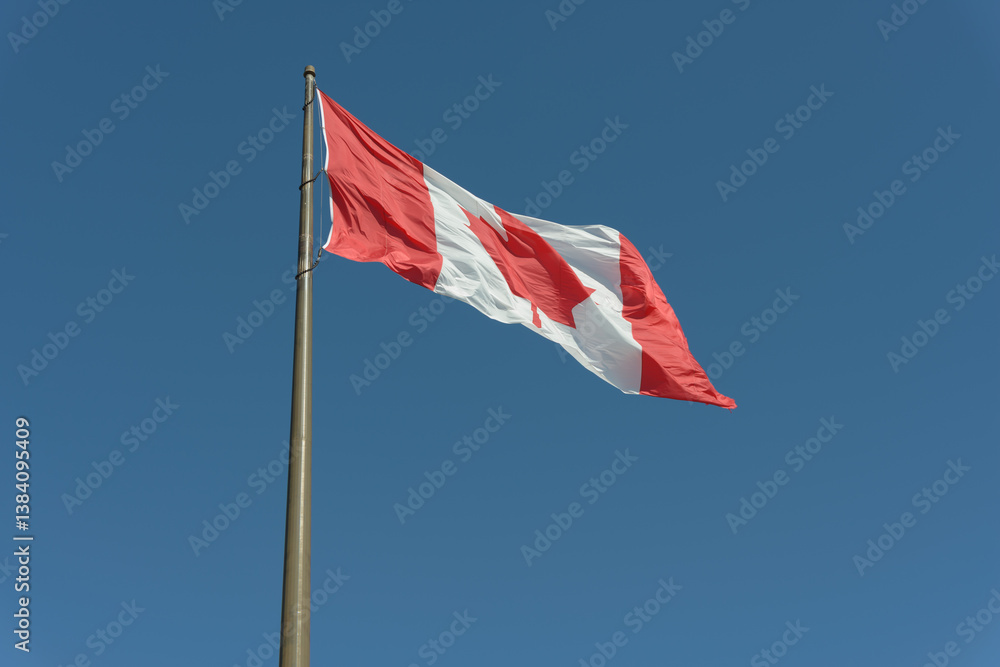 the flag of Canada fluttering in the wind on a blue sky the flag of Canada fluttering in the wind on a blue sky