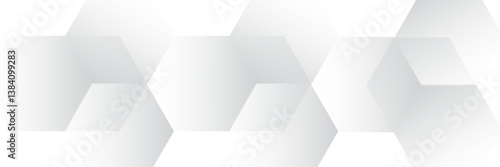 White hexagonal abstract background overlap layer on bright space with lines effect decoration. Modern graphic design element circles style concept for banner.