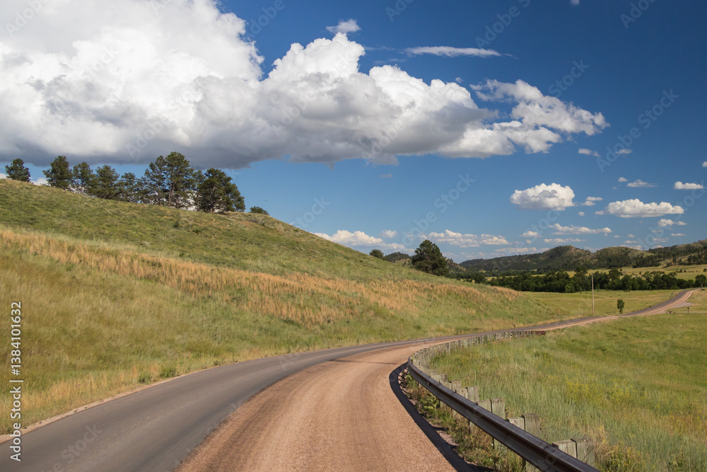 Naklejka premium Road through Custer State Park, South Dakota