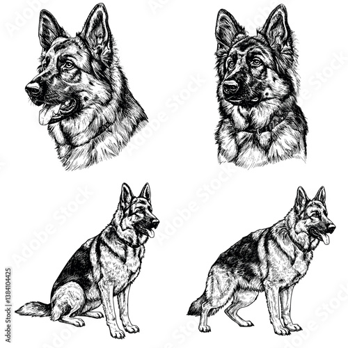Set of Vintage Vector Illustration of Black and White German Shepherd Dog