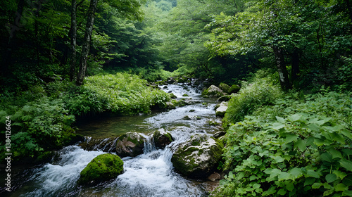 Forest Stream With Rocks And Lush Green Vegetation