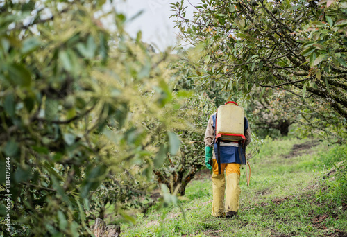 trabajador del campo con equipo de fumigación en el cultivo de aguacate - foto de stock 