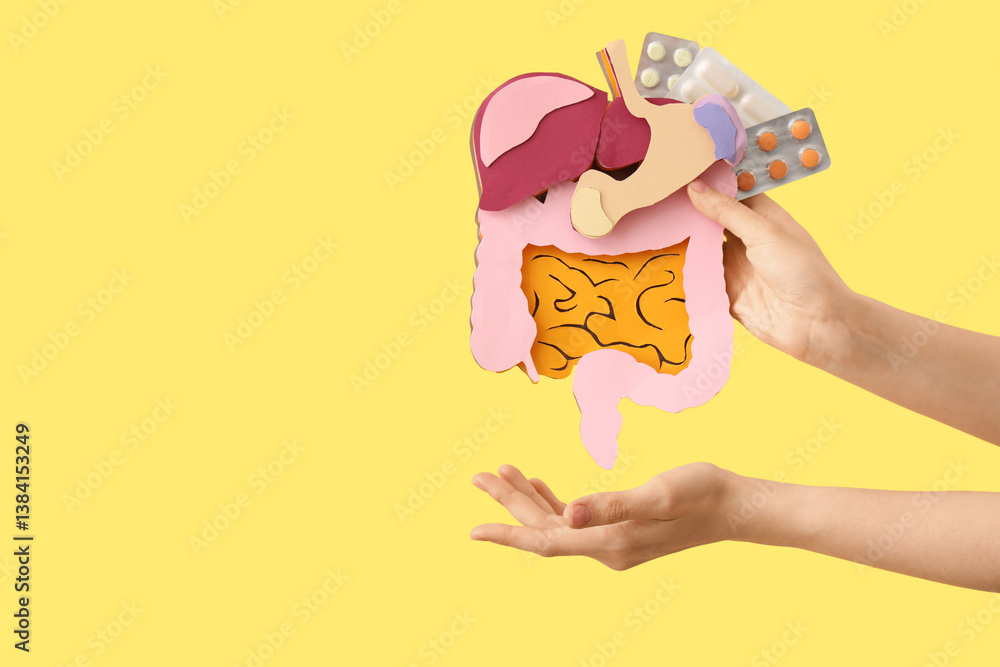 Woman with paper digestive system and pills on yellow background Woman with paper digestive system and pills on yellow background