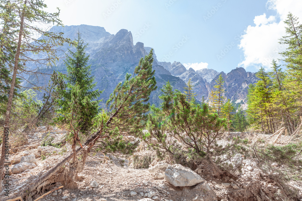 Mountain landscape with rocky terrain and evergreen trees in foreground. Towering peaks rise against a vivid blue sky, creating a striking contrast between the rugged slopes and lush greenery