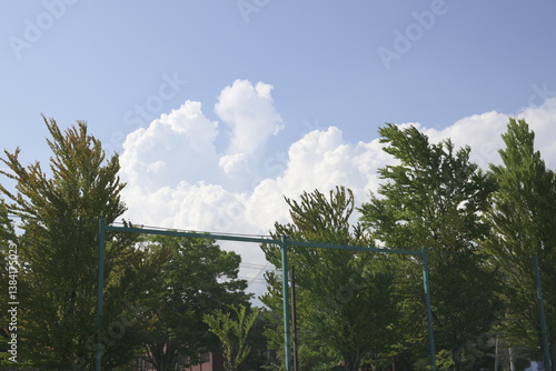 Obraz na płótnie 夏のグランドのフェンス w salonie