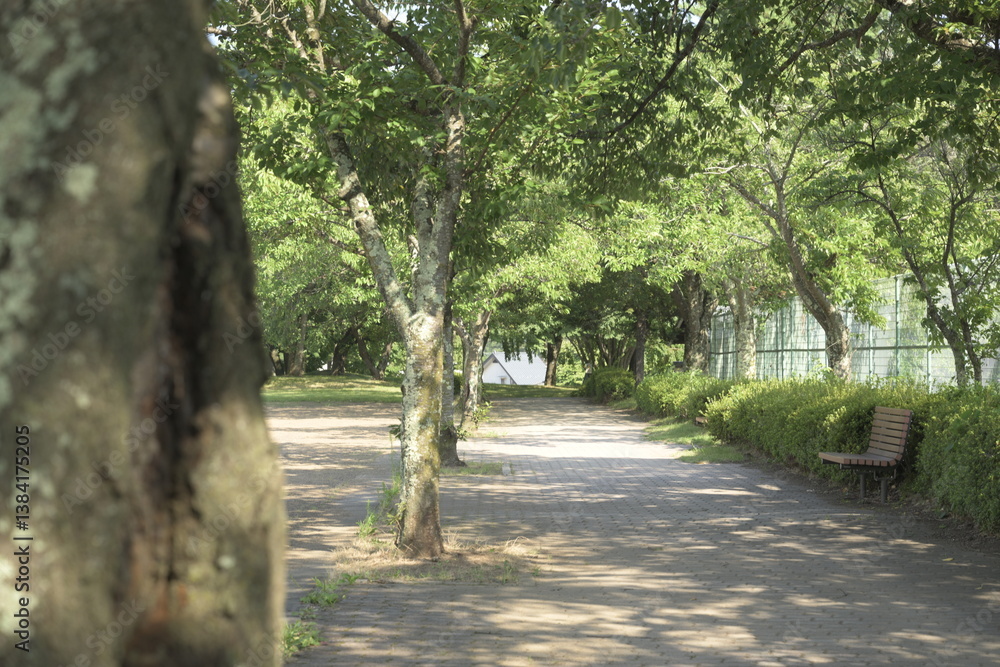 日本の真夏の無人の公園
