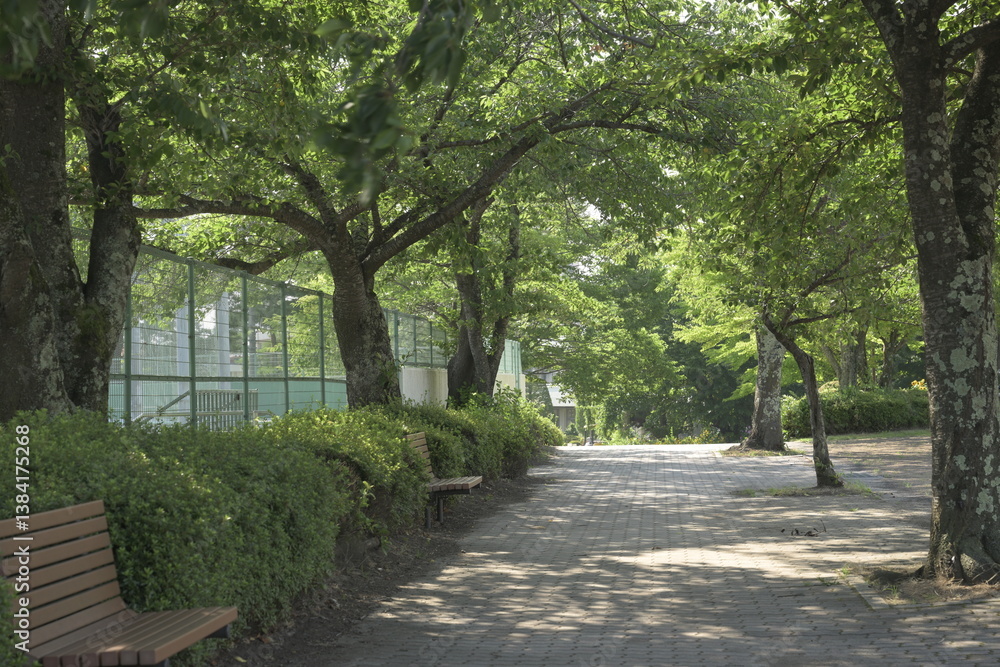 日本の真夏の無人の公園