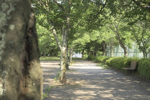 Obraz na płótnie 日本の真夏の無人の公園 w salonie