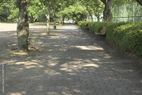 日本の真夏の無人の公園