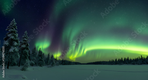 Wallpaper Mural Vibrant green aurora borealis dances above a snowy forest landscape at night. Torontodigital.ca