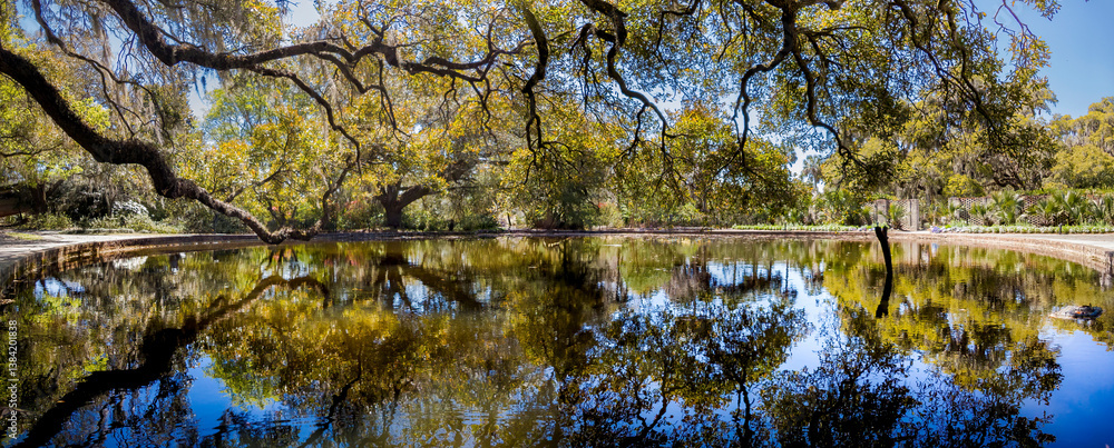 Water surface reflections of rich landscape features and blue sky