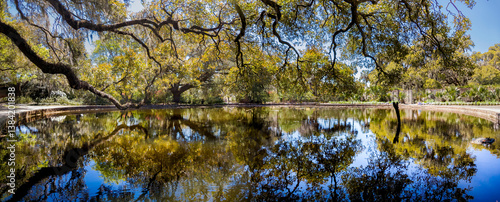 Water surface reflections of rich landscape features and blue sky