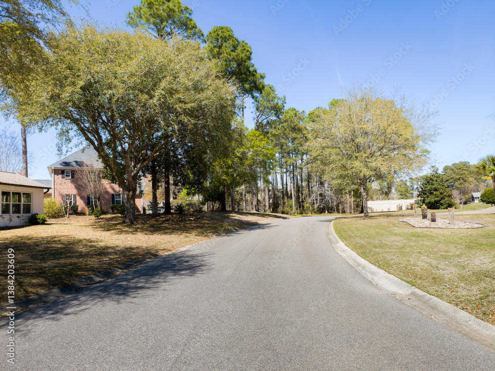 Neighborhood street, lake and nature photos of Little River, South Carolina