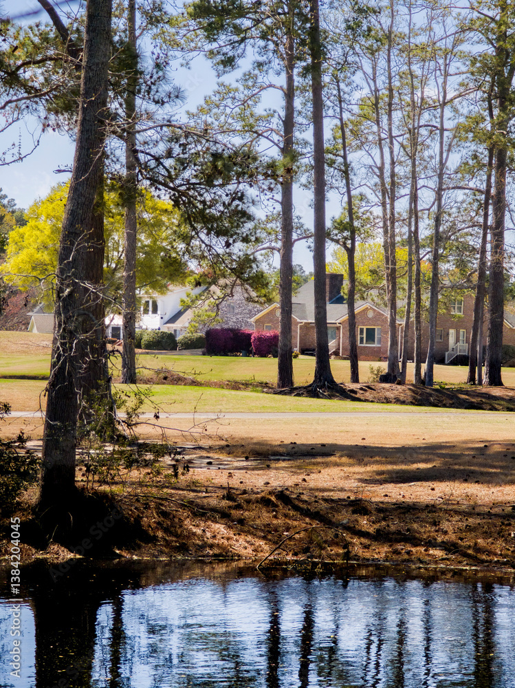 Neighborhood street, lake and nature photos of Little River, South Carolina