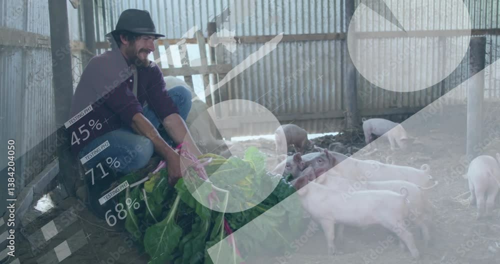 Feeding pigs with leafy greens, man in rustic barn setting Feeding pigs with leafy greens, man in rustic barn setting