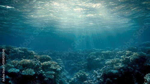 Wallpaper Mural Mesmerizing Underwater Scene: Vibrant Coral Reef in Deep Blue Ocean Torontodigital.ca
