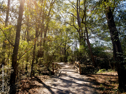 Obraz na płótnie Forest trail surrounded in greenery and tall trees in Eastern US landscape setting w salonie
