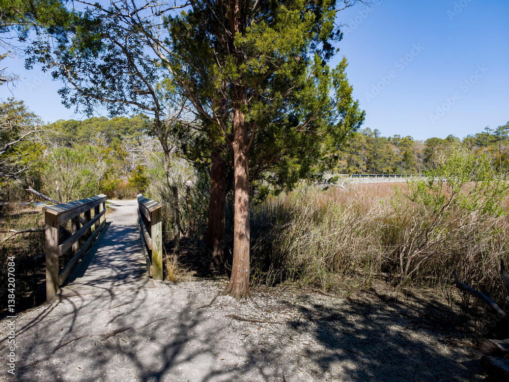 Wood bridge spanning across acres of golden reeds and marsh in a classic South Carolina landscape setting of trees