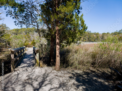 Obraz na płótnie Wood bridge spanning across acres of golden reeds and marsh in a classic South Carolina landscape setting of trees w salonie