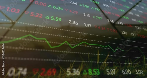 Fluctuating stock market data with animation of graphs on grassy landscape