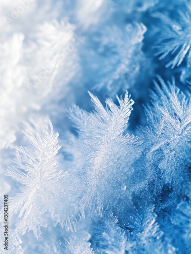 Macro shot of intricate frozen ice crystals displaying delicate patterns in a soft blue-white gradient during the winter season