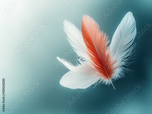 Feathers floating in triadic color scheme with soft light and space for text