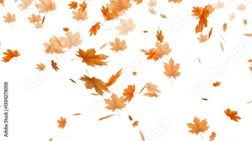  falling maple autumn leaves loop animation, perfect for compositing, motion nature scene abstract background