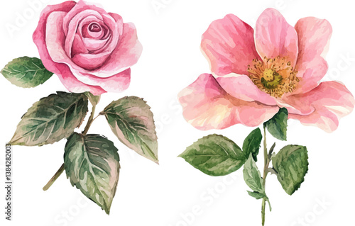 bouquet of pink roses