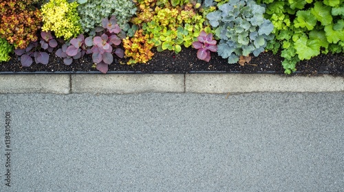 Colorful flower bed border along a street