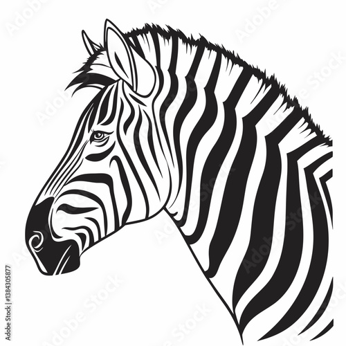 zebra vector illustration