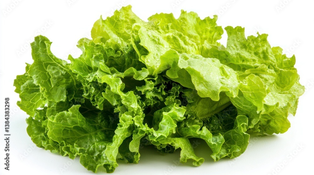 Lettuce isolated on white background Lettuce isolated on white background