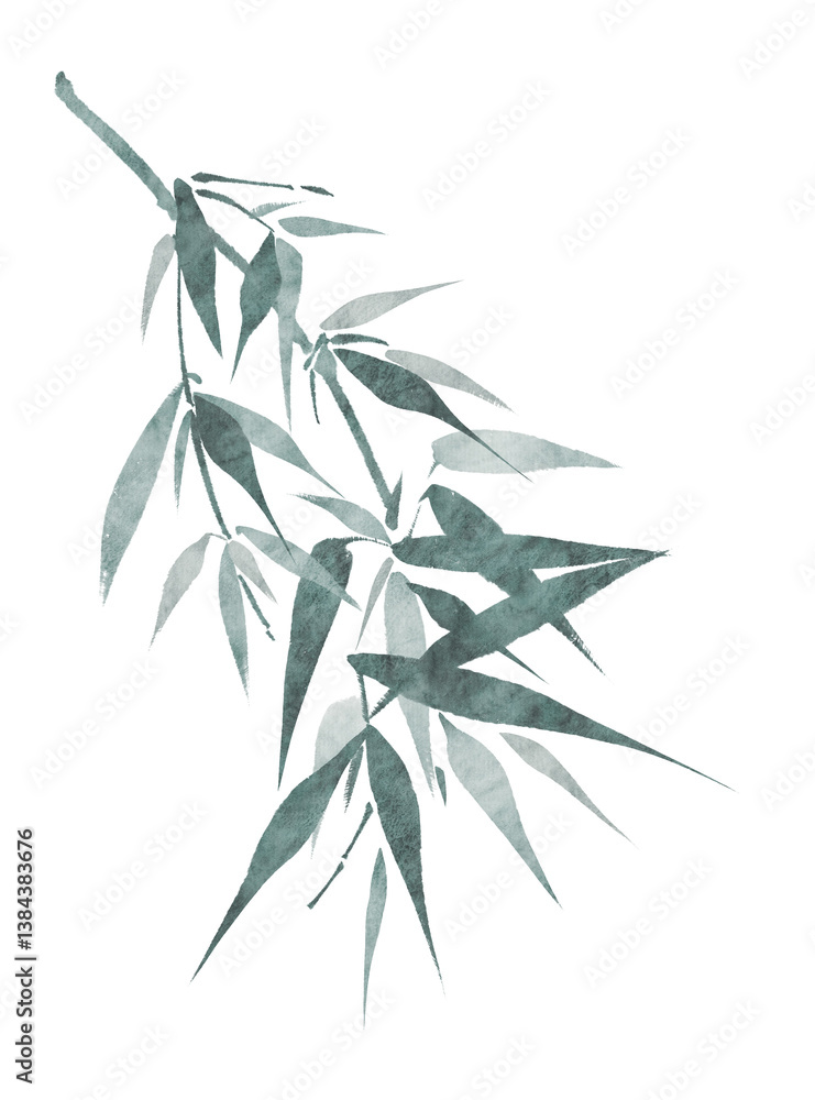 Obraz premium bamboo leaves isolated on white background