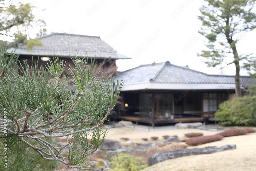 庭師の手で入念に剪定された松葉の日本庭園(無鄰菴庭園・京都) 庭師の手で入念に剪定された松葉の日本庭園(無鄰菴庭園・京都)