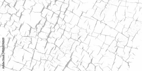 Abstract textured background of white cracked wall. Vector marble pattern with white and black cracks Transparent texture. cracked wall texture, black and white, cracked concrete of grunge texture. 